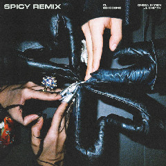 Download CL - SPICY (Remix) (feat. Omega Sapien, Sokodomo, Lil Cherry) Mp3